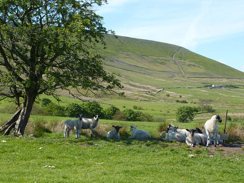 Pendle Hill